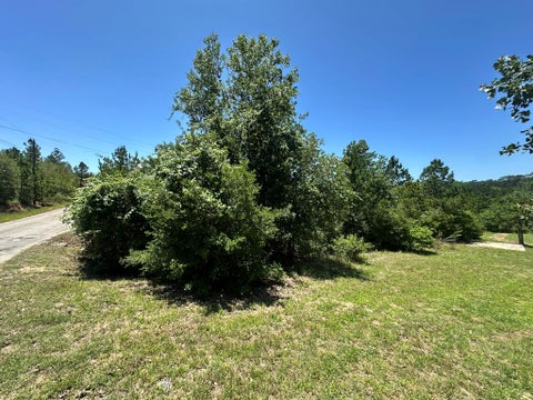 Photo of 000 Manawianui DR, Bastrop, TX 78602 (MLS # 2052578)