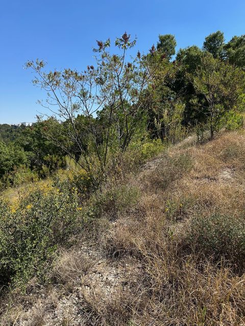 21400 Bison TRL Lago Vista TX 78645