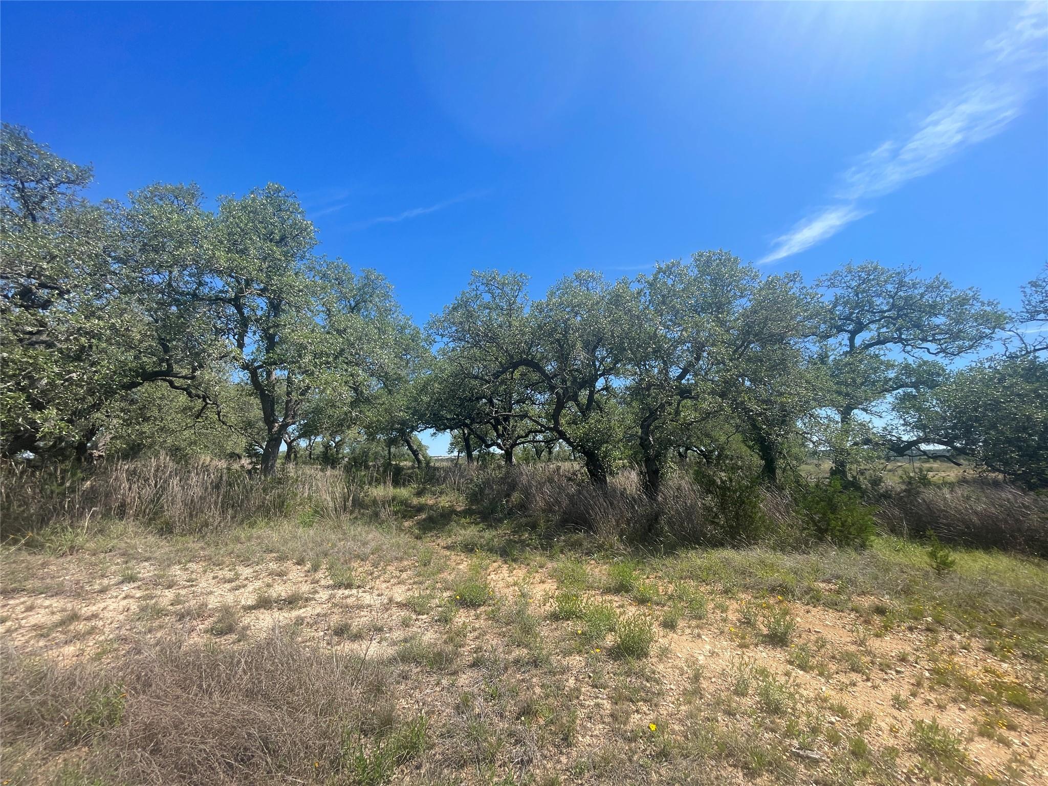 6500 W Highway 290 Highway
