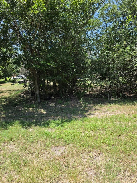 Photo of 711 2nd ST E, Elgin, TX 78621 (MLS # 2937154)