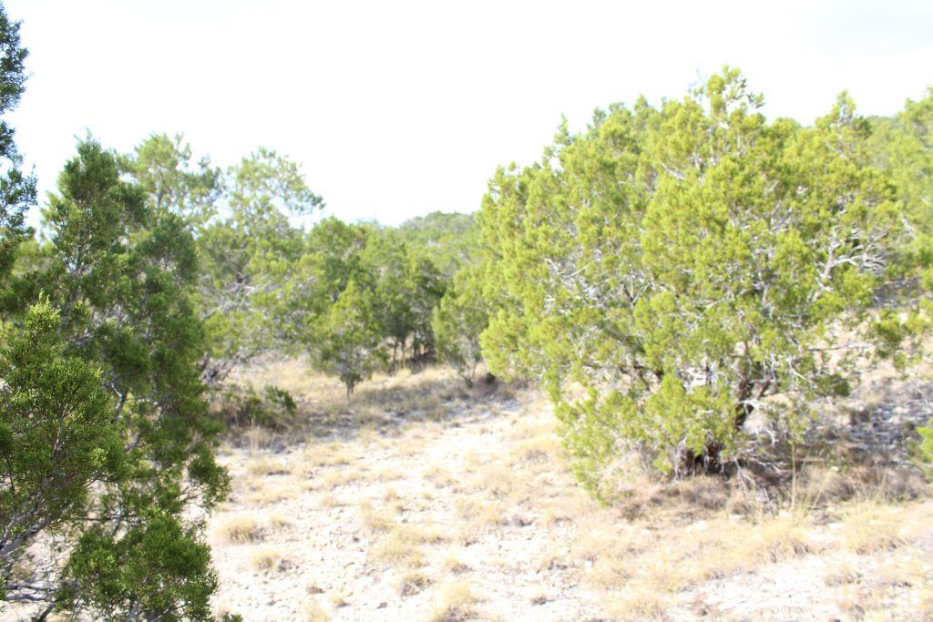 28808 Rim Rock RD