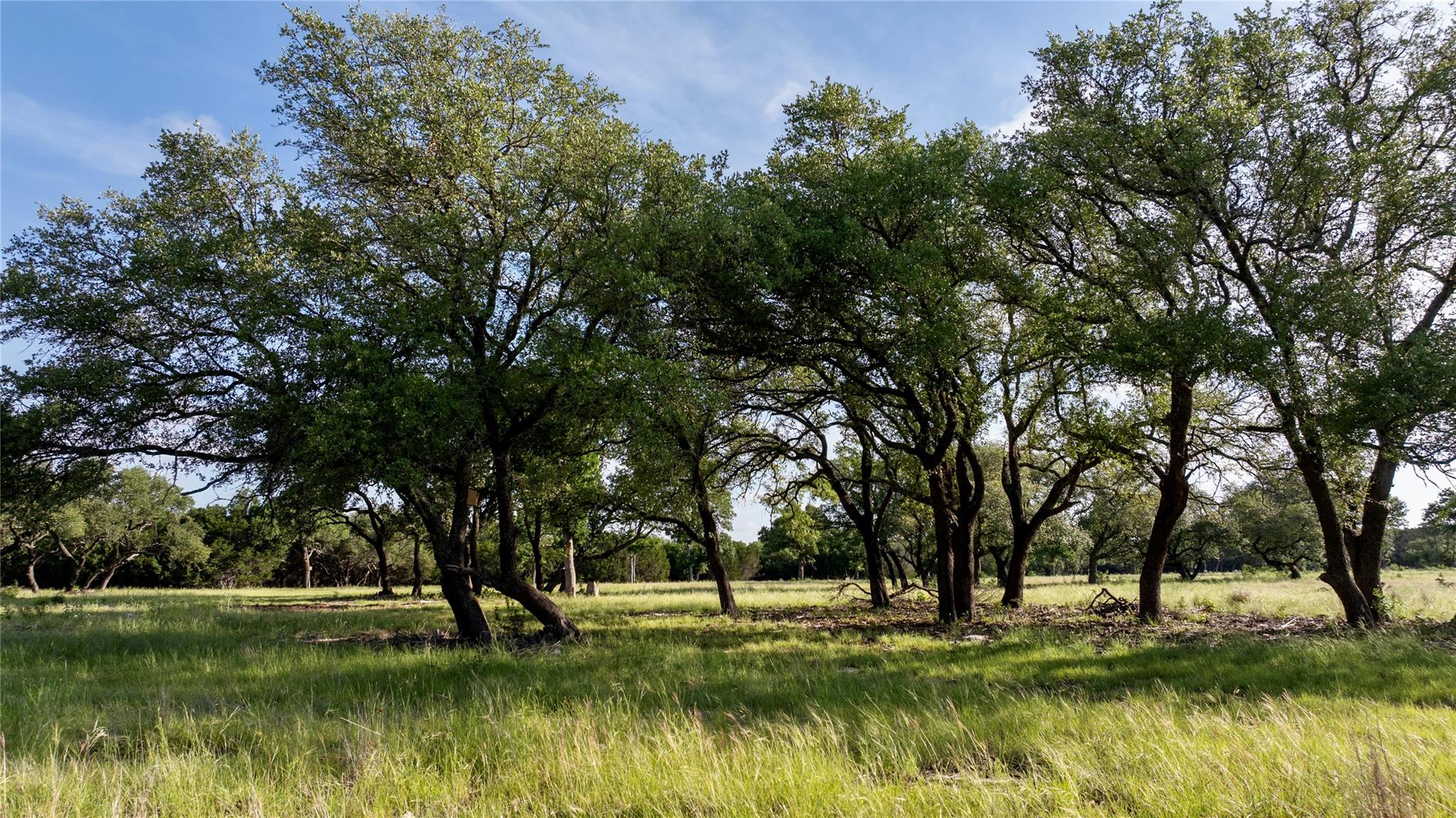Lot 33 Starfall DR