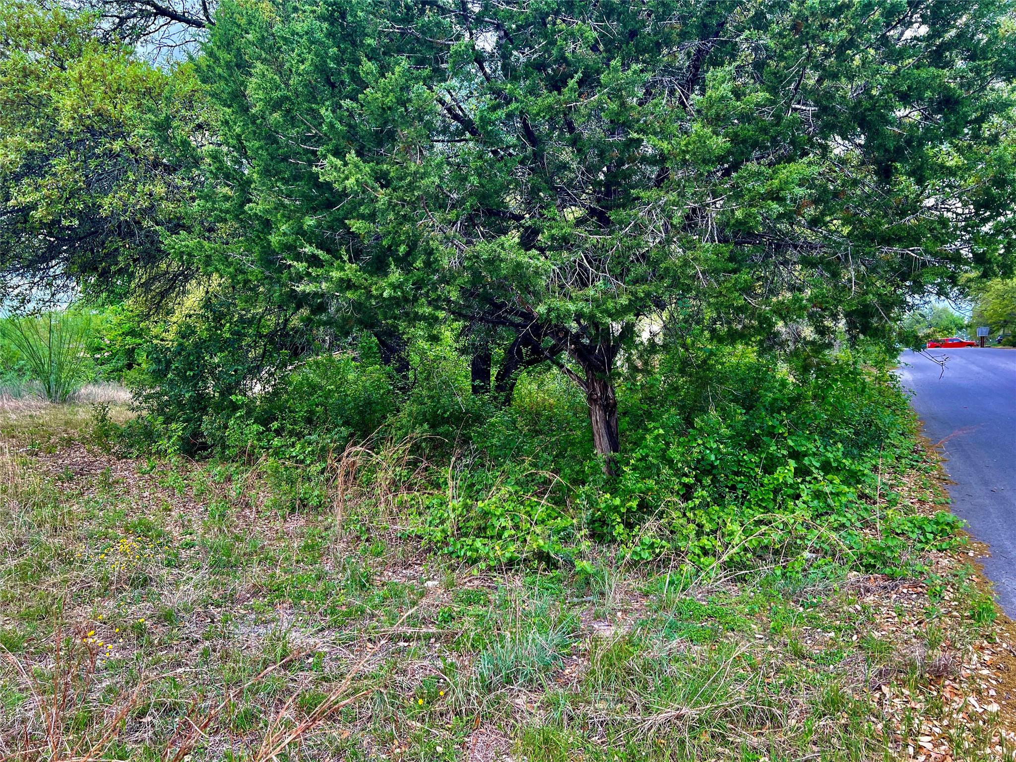 15209 CAVALIER CANYON DR