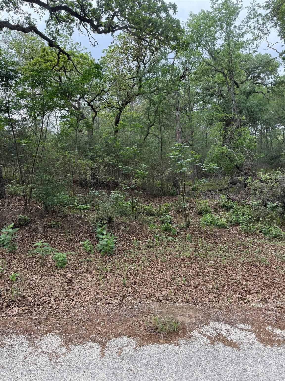 lot 70 Kaelepulu DR