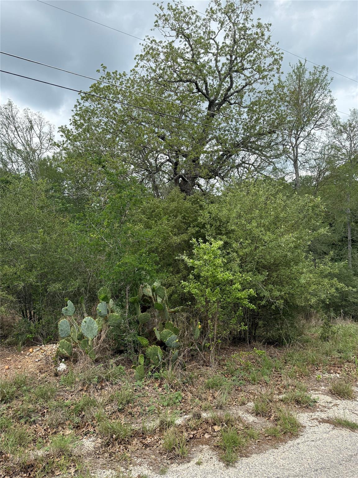 lot 70 Kaelepulu DR