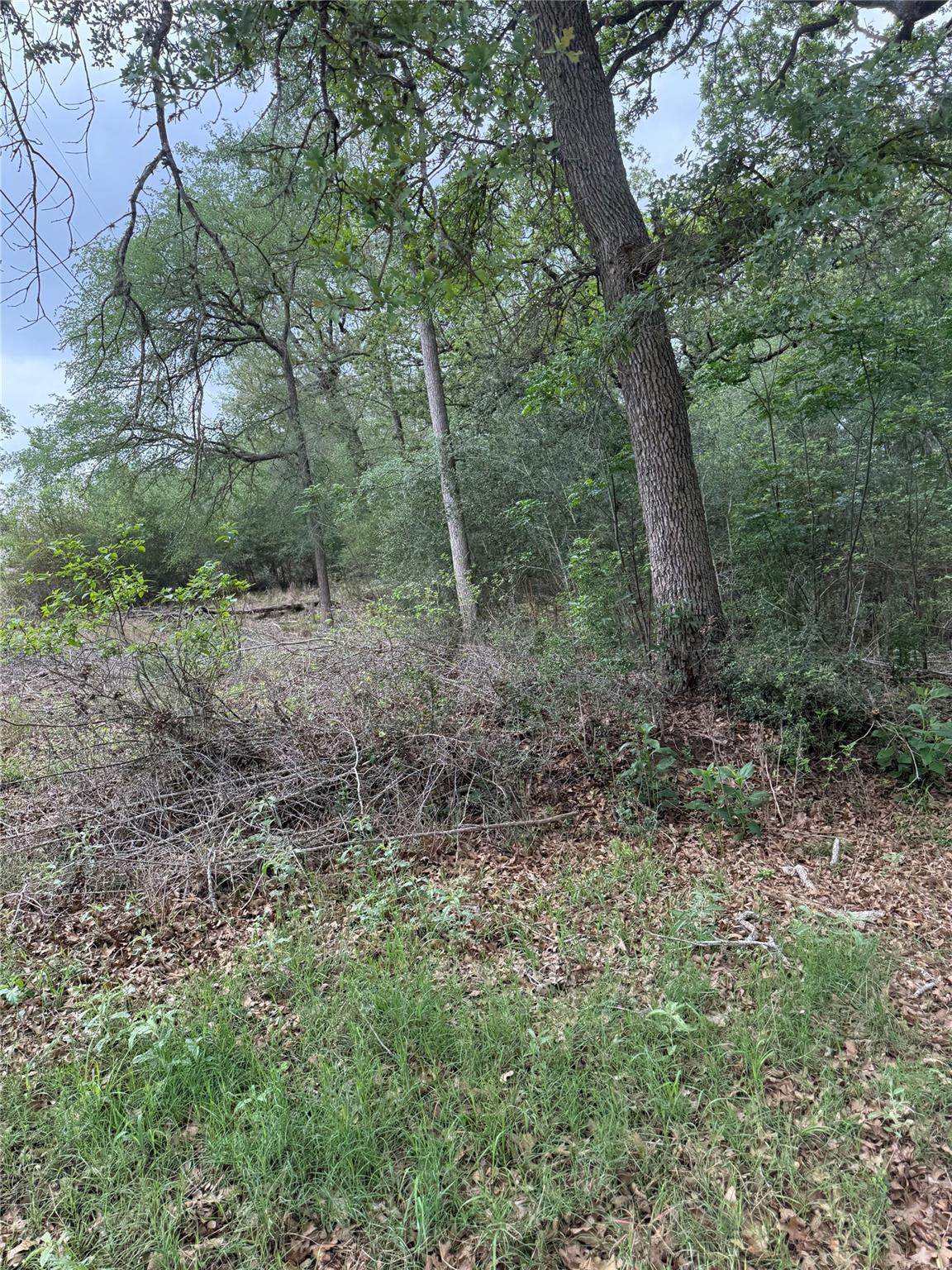 lot 70 Kaelepulu DR