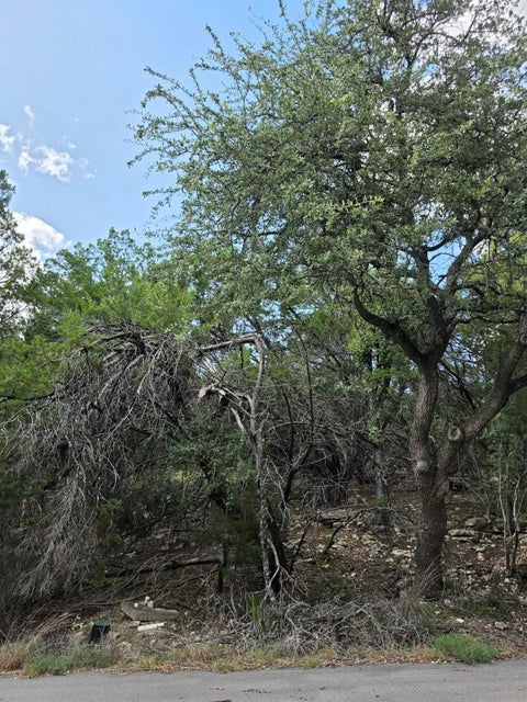 Photo of 20010 Columbus LN, Lago Vista, TX 78645 (MLS # 1553673)