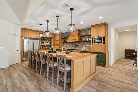 156 Three Creeks DR Bertram TX 78605