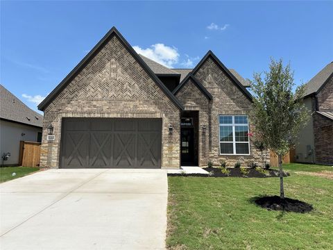 17212 Autumn Falls DR Manor TX 78653
