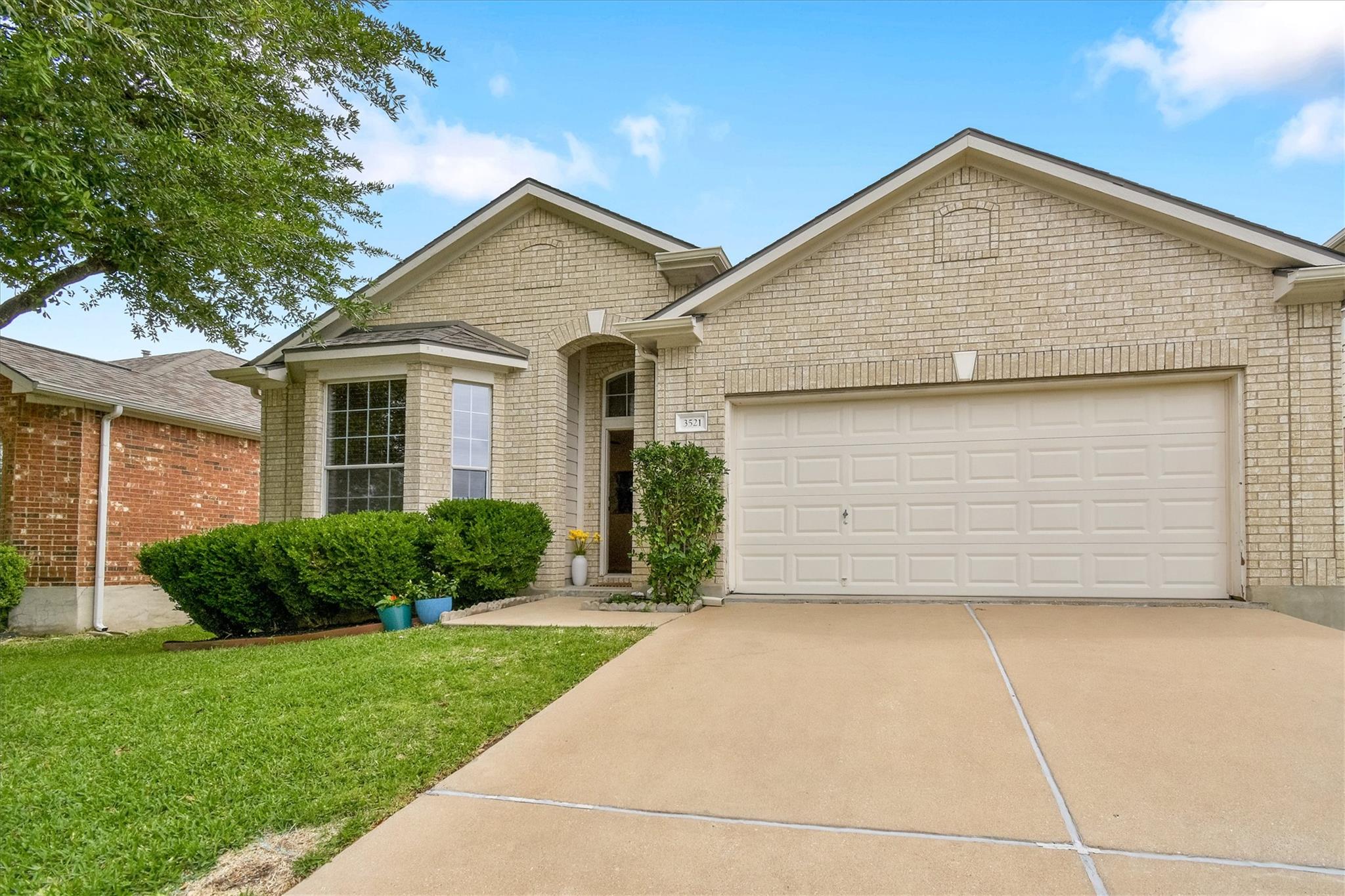 3521 Shiraz LOOP