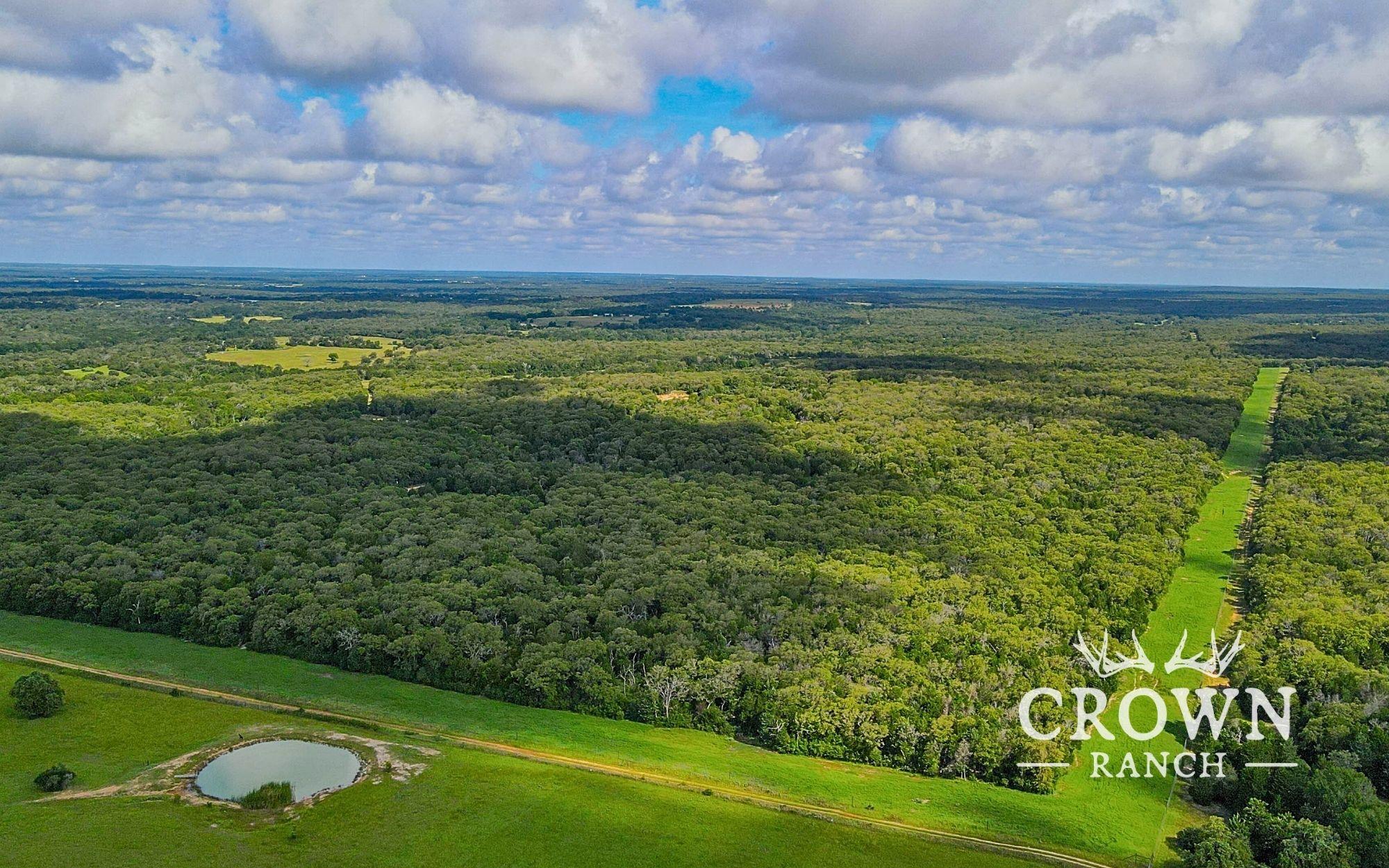 TBD FM 908 (+/-1,057 acres)