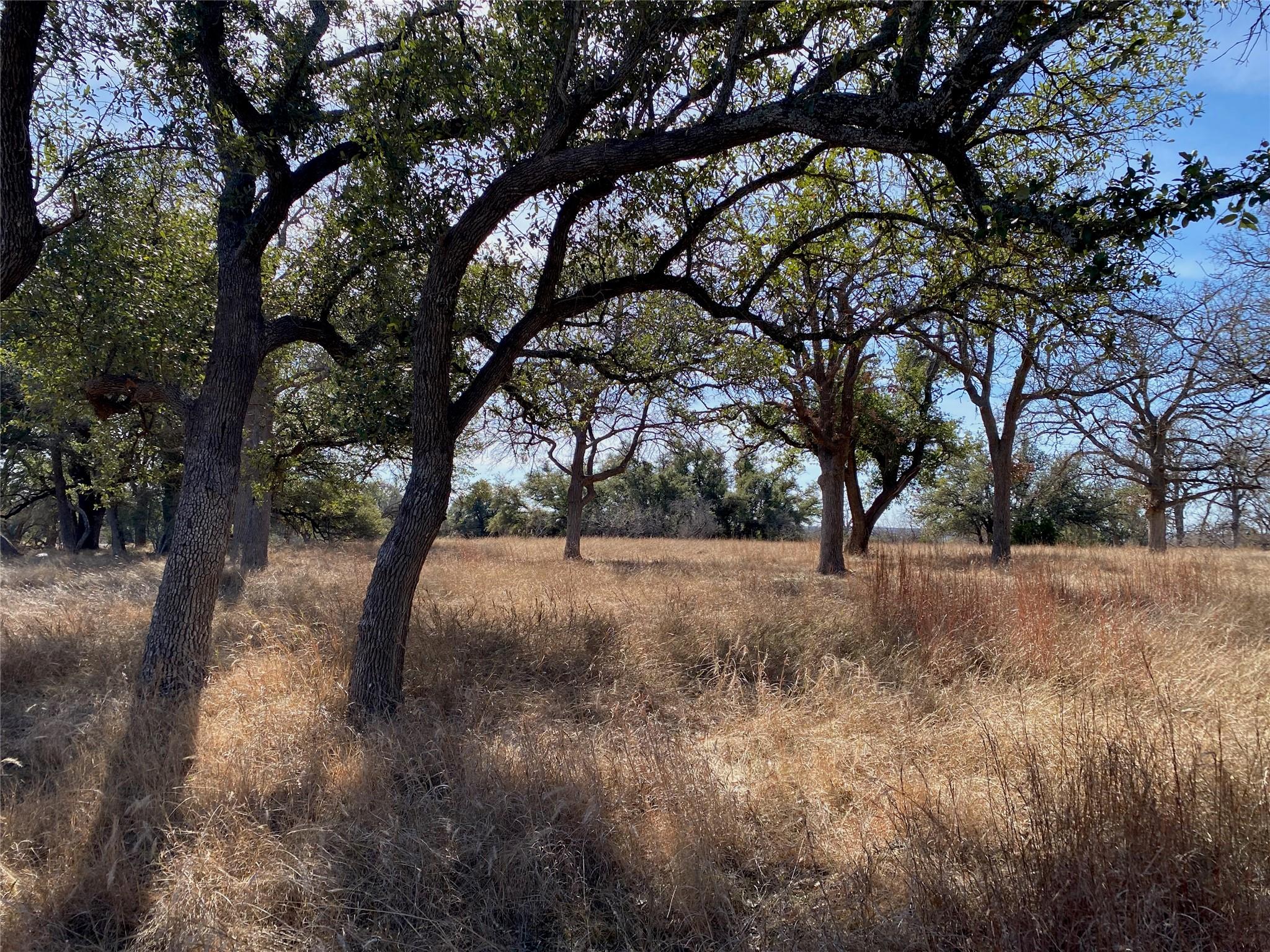 304 Lightning Ranch PT