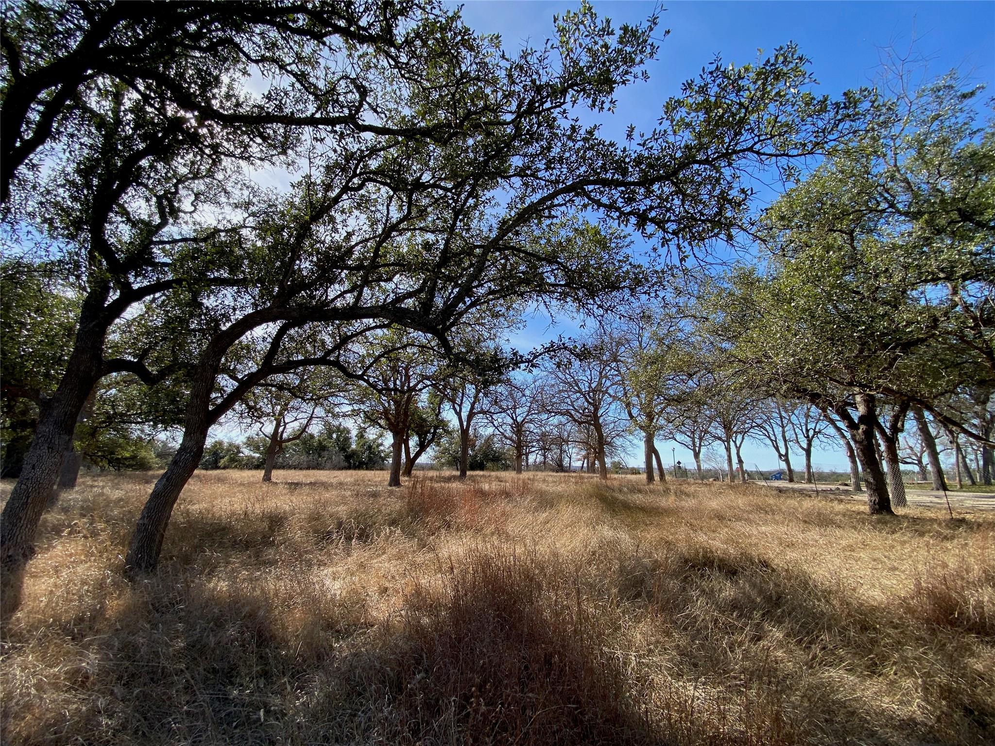 304 Lightning Ranch PT