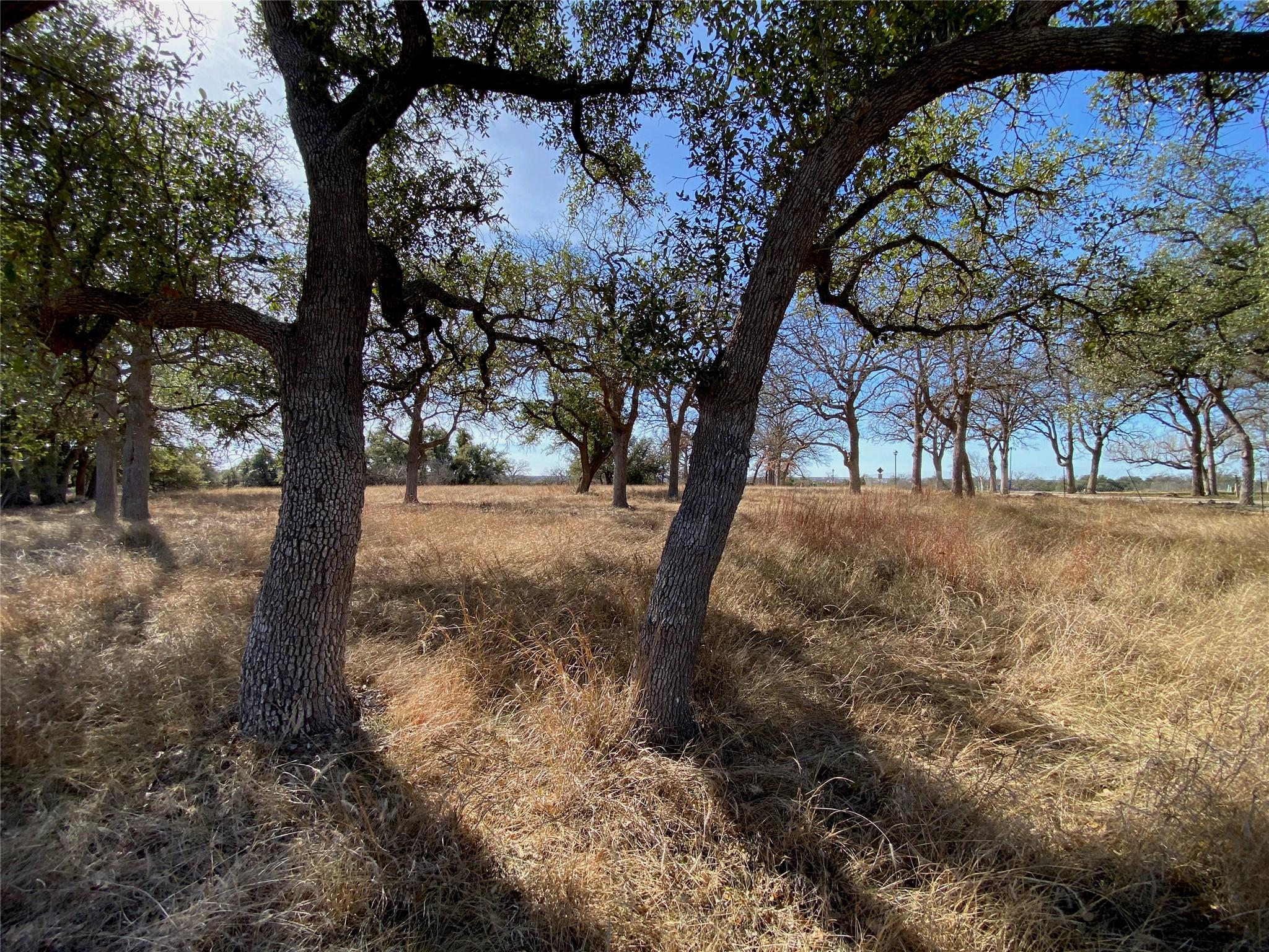 304 Lightning Ranch PT