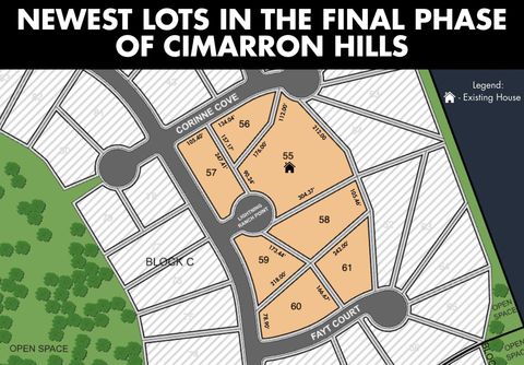 TBD Lightning Ranch PT Georgetown TX 78628