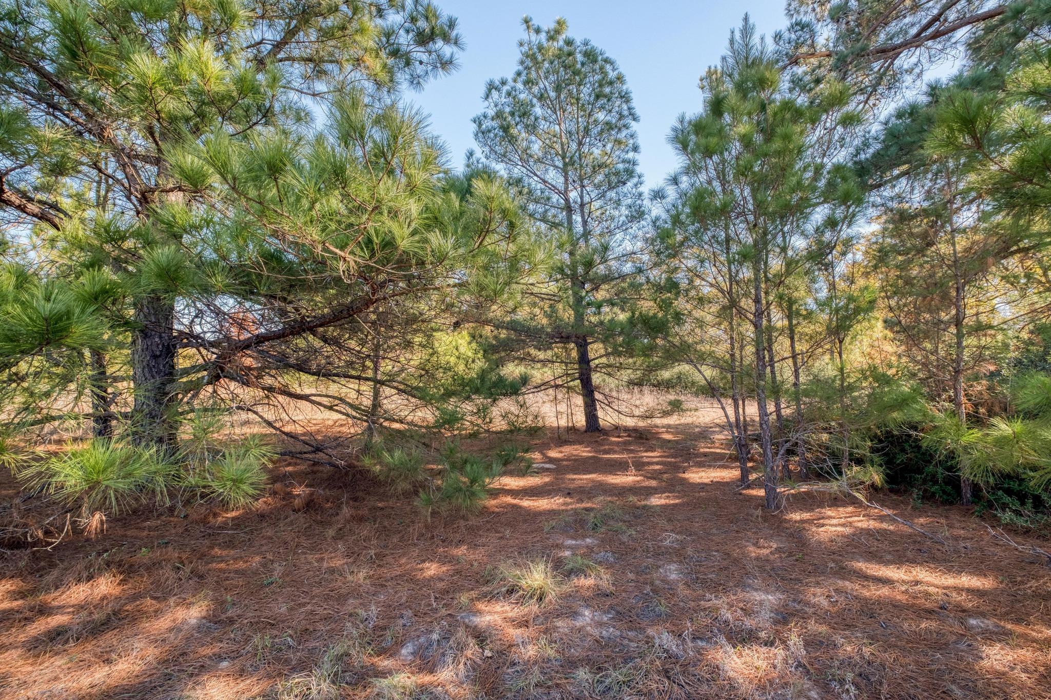 000 Dunbar Rd (Tract 3) RD