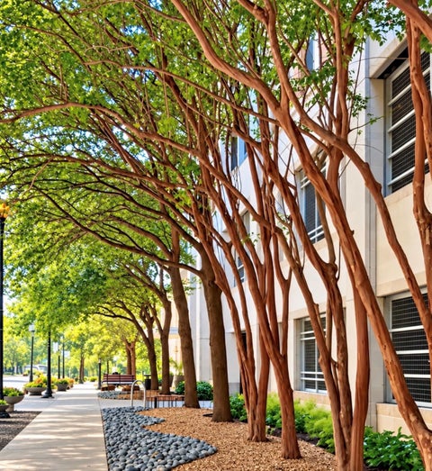 Tiny photo for 54 Rainey ST #608, Austin, TX 78701 (MLS # 3929245)