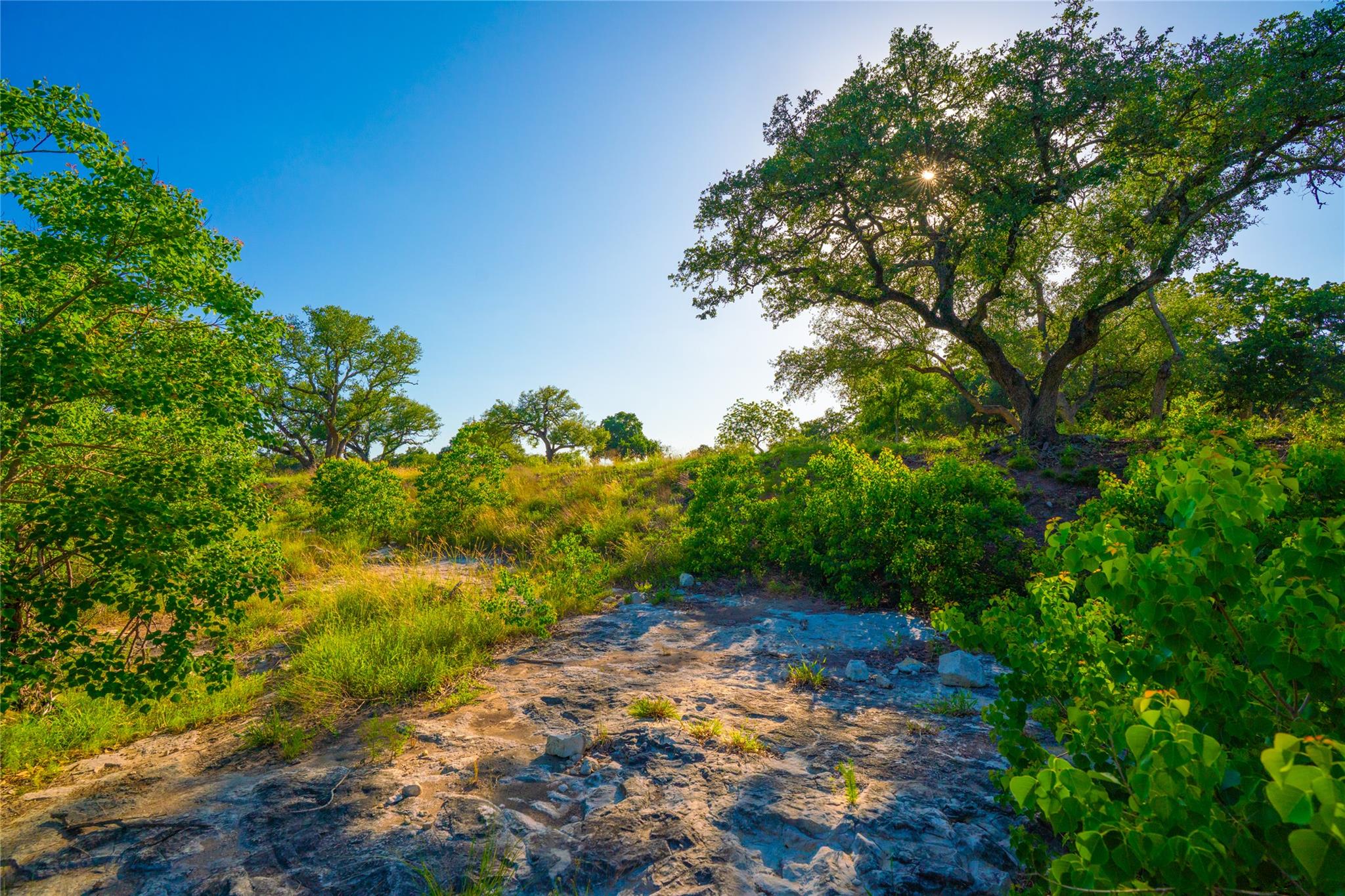 0 Creekside Ranch