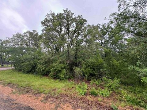 Photo of 319 Shady Oak ST, Somerville, TX 77879 (MLS # 3404511)