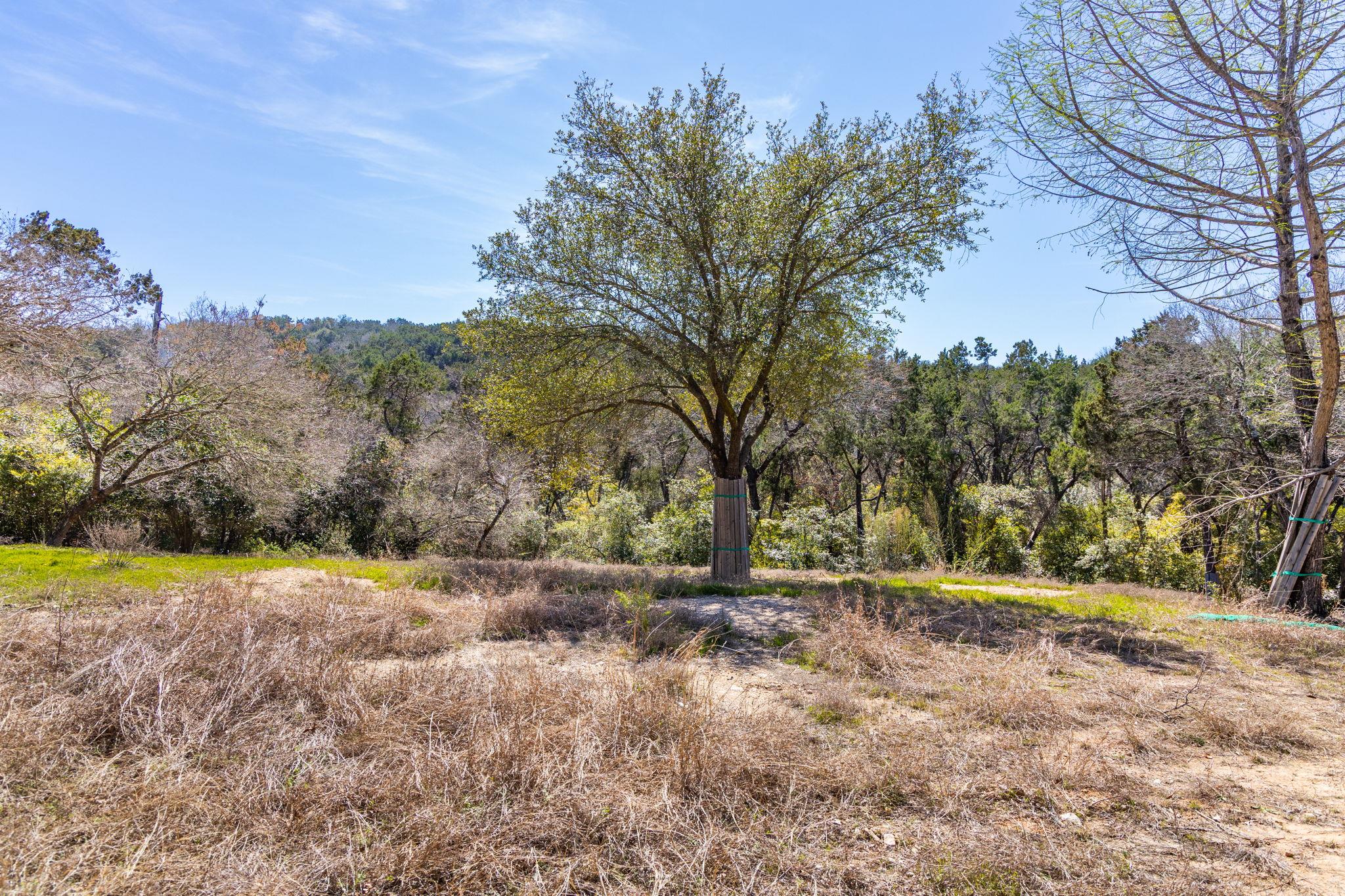 902 Yaupon Valley RD