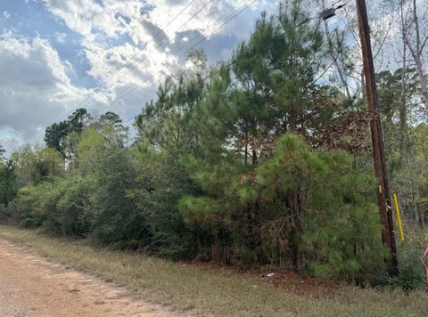 Photo of Lot 233 MAKAHA DR, Bastrop, TX 78602 (MLS # 5958969)