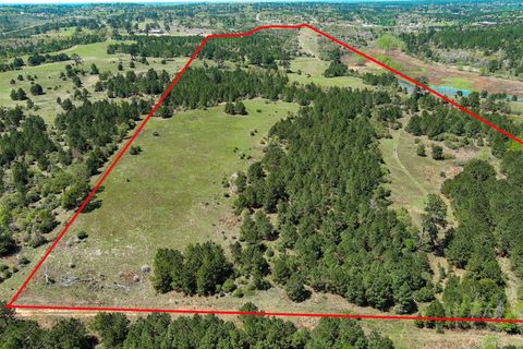 983 Hwy 21 E. Bastrop TX 78602