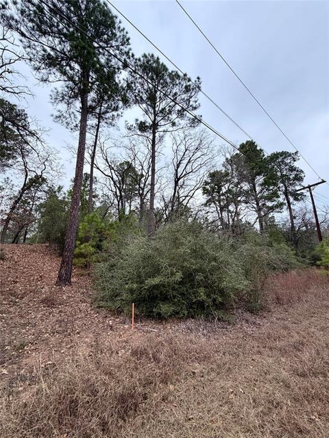 Photo of Bastrop, TX 78602 (MLS # 9201781)