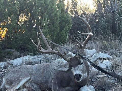 906 CR 235 Aspermont TX 79502