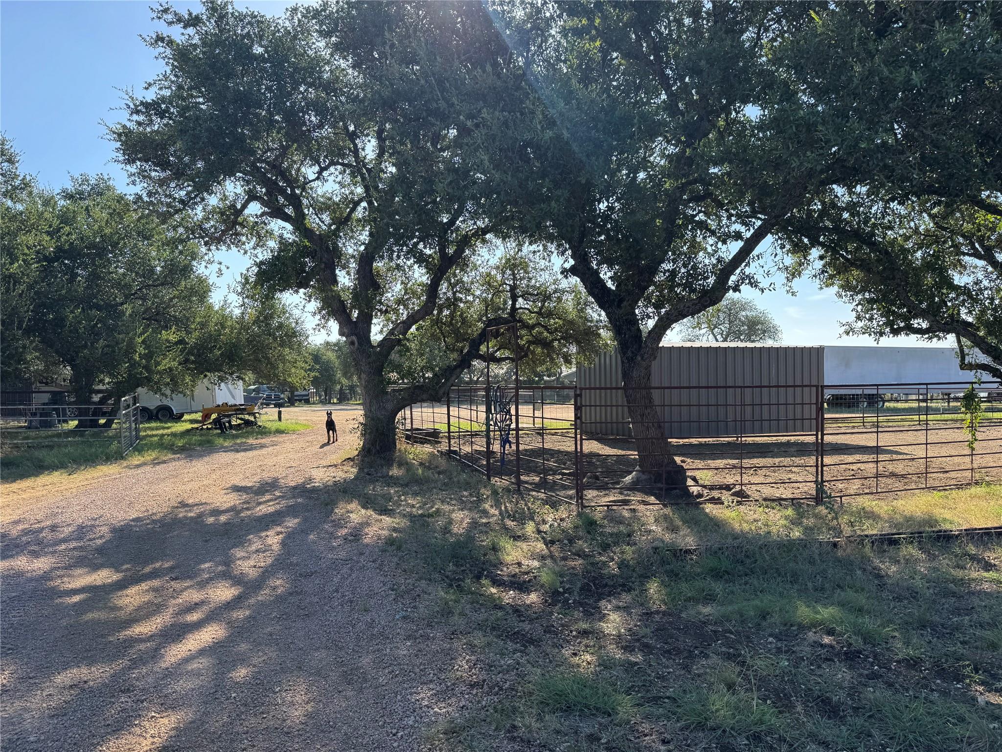 223 County Road 303