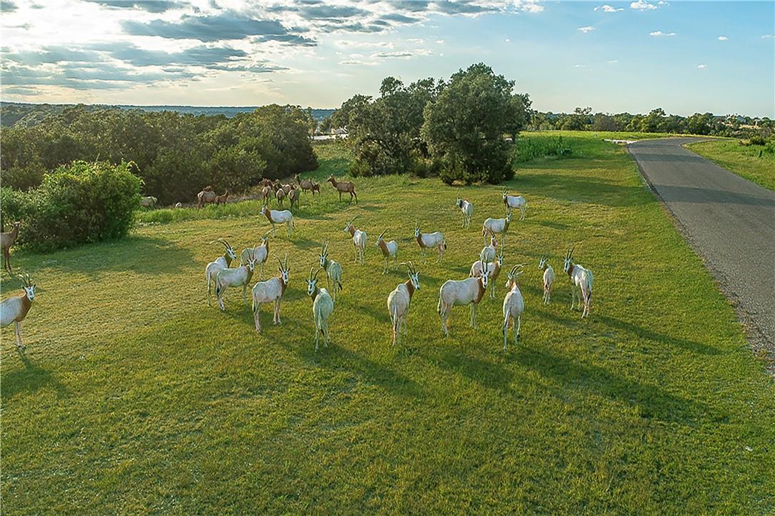 Lot 129 & 130 Lynx Cove RD