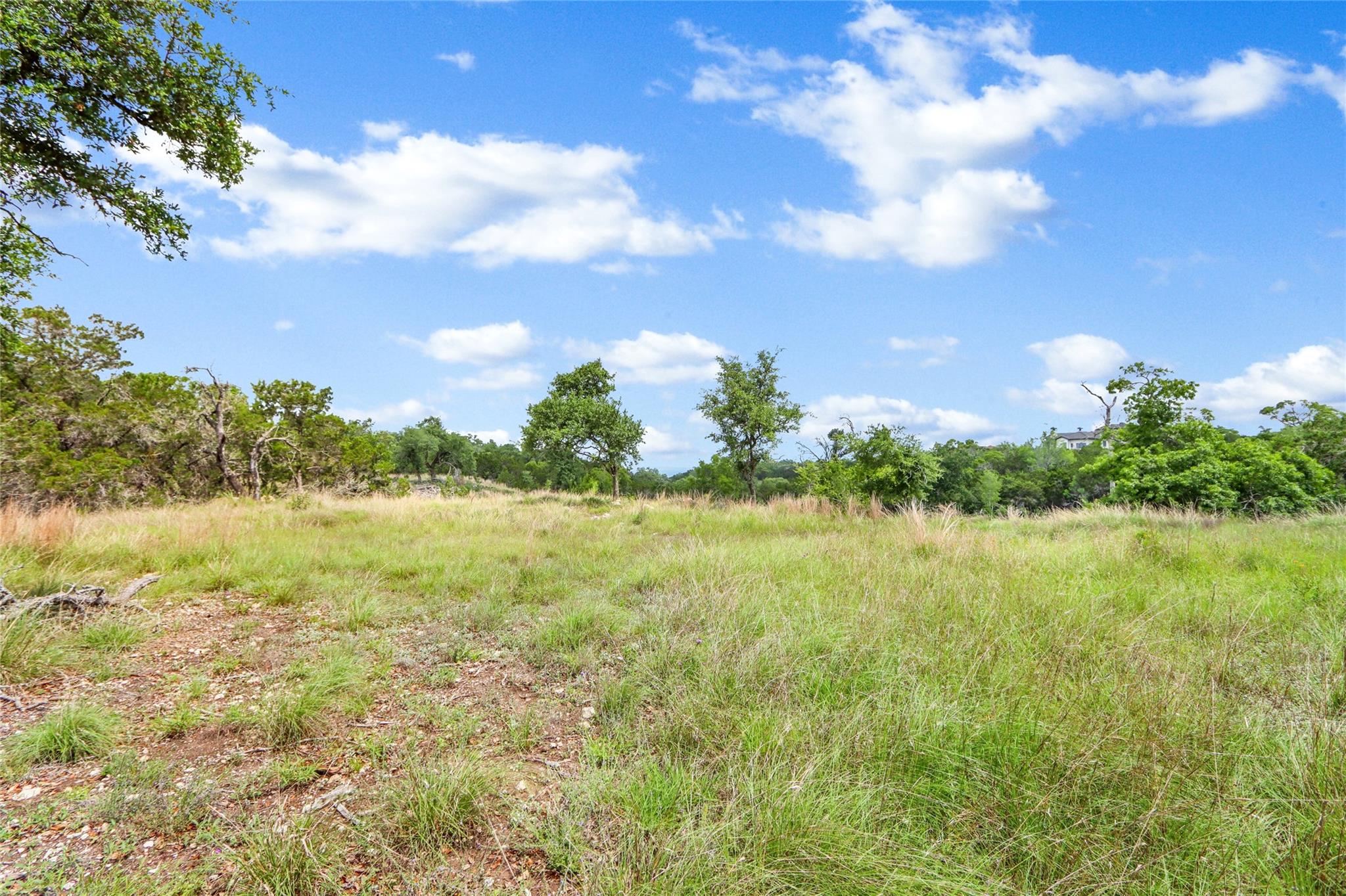 Lot 20 Early Bird LN