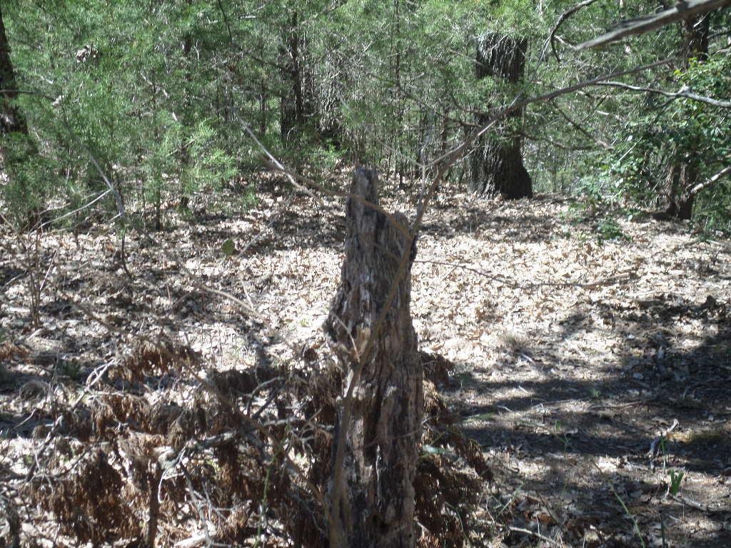 TBD R68370 Walter Hoffman RD H