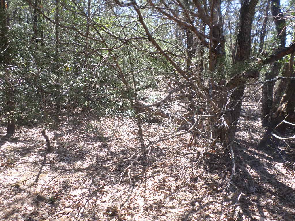 TBD R68370 Walter Hoffman RD H