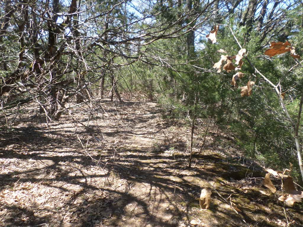 TBD R68370 Walter Hoffman RD H