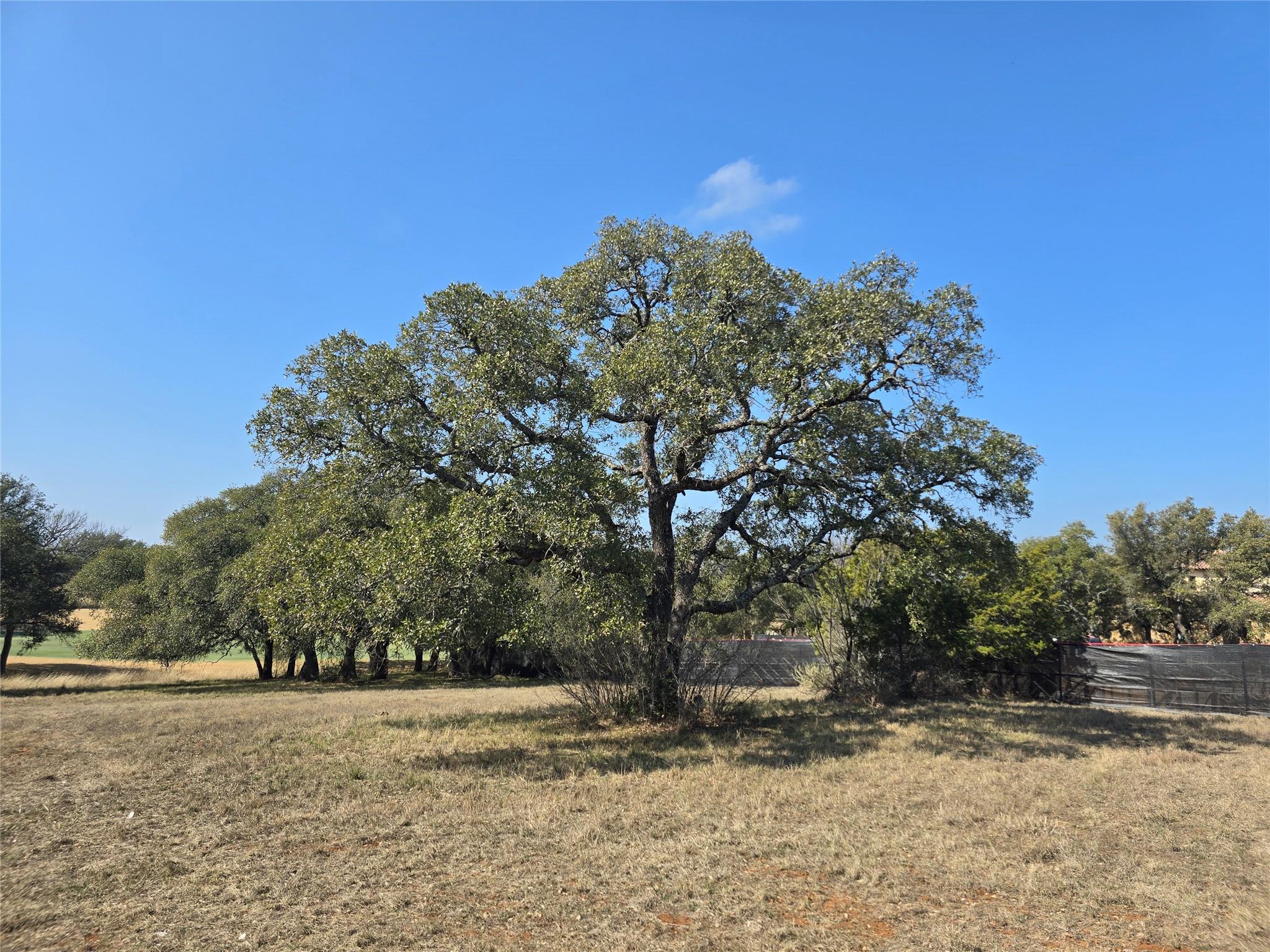 428 La Serena LOOP