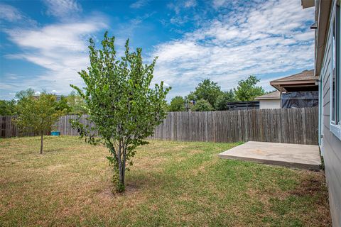 Tiny photo for 12301 Paloma Blanca WAY, Del Valle, TX 78617 (MLS # 2567181)