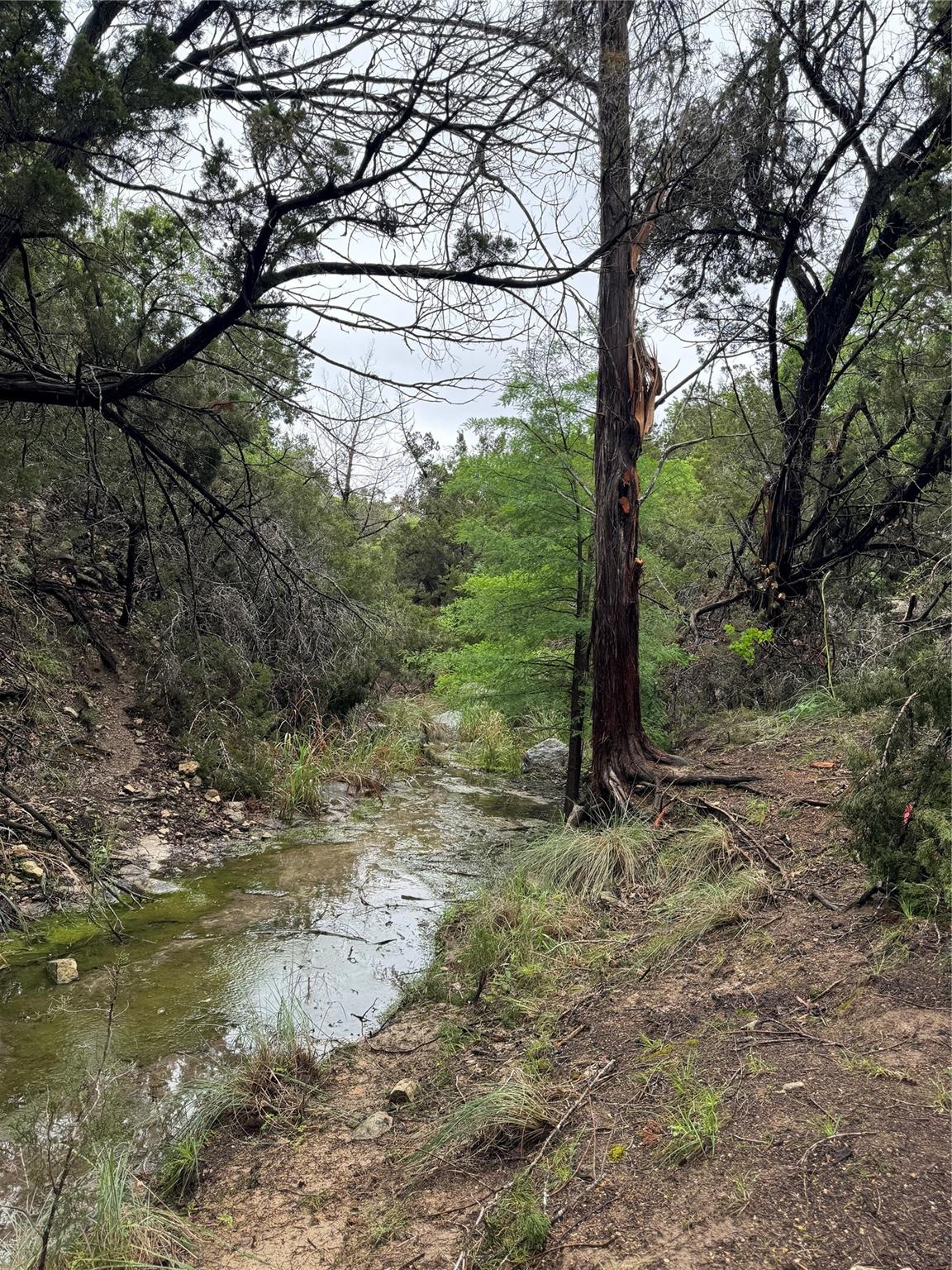 N/A Windy Hills RD