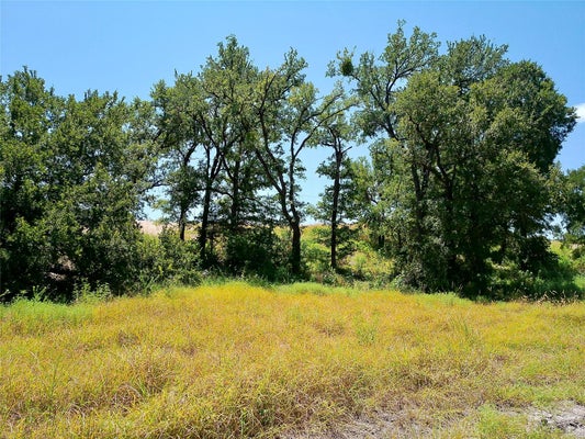 212 SERENITY DR, LIBERTY HILL, TX 78642 - Image 2ce64f7e63cb69090ff88c3d57df355b/4040223780