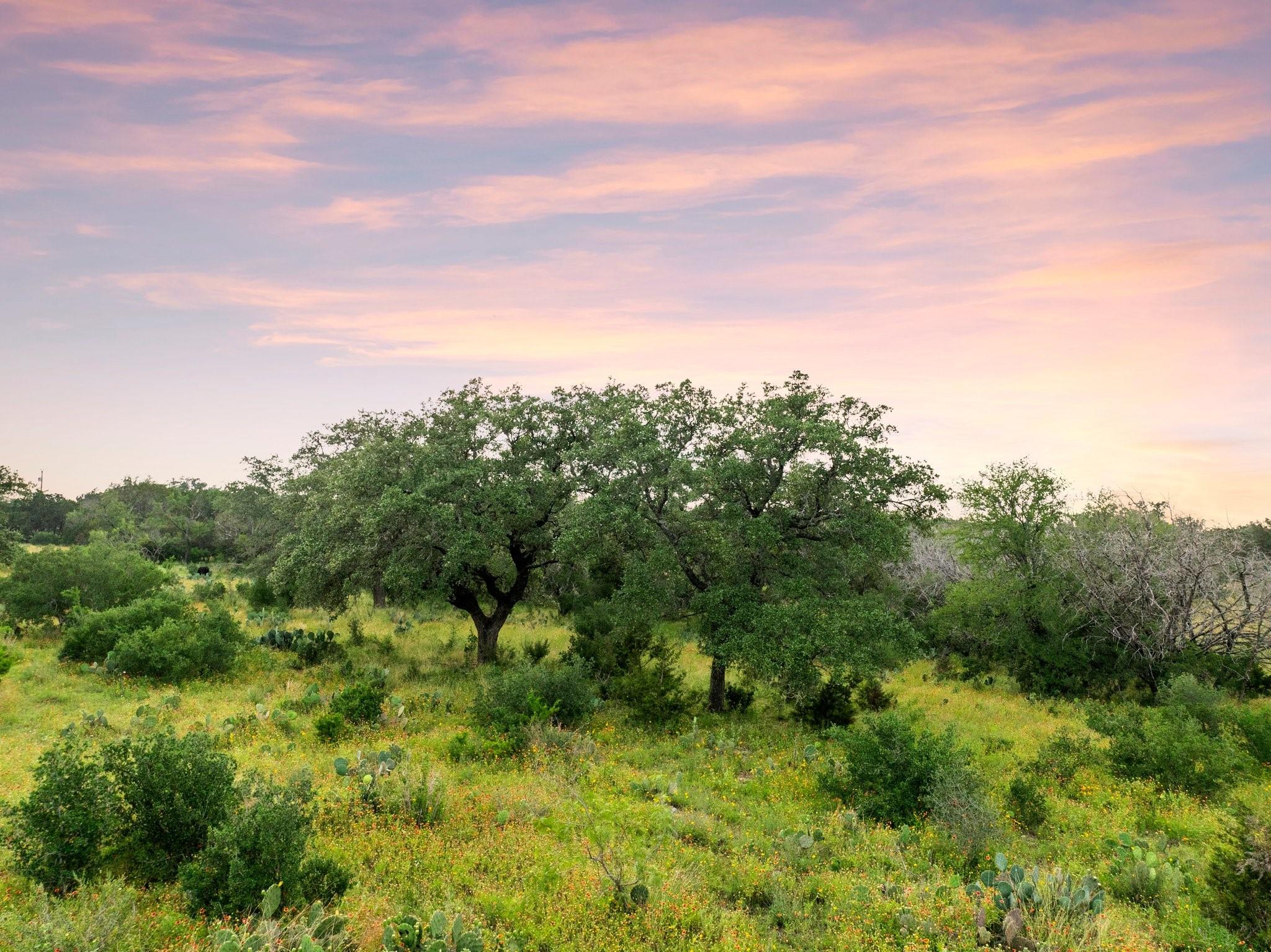 2308 County Road 414