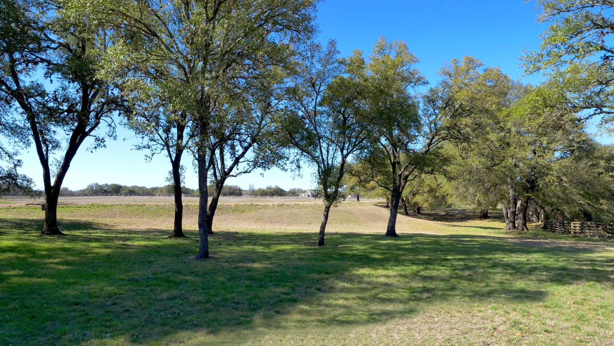 1115 County Road 414