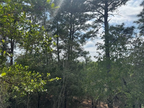 Photo of Lots 1263, 1264, 126 Hanauma DR, Bastrop, TX 78602 (MLS # 9893225)