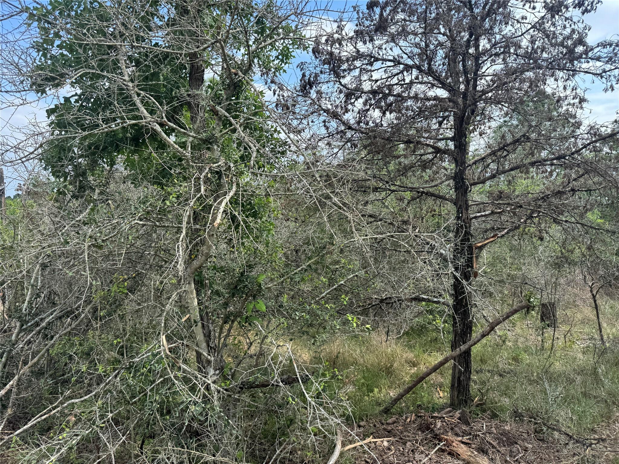 Lots 1263, 1264, 1265 Hanauma DR