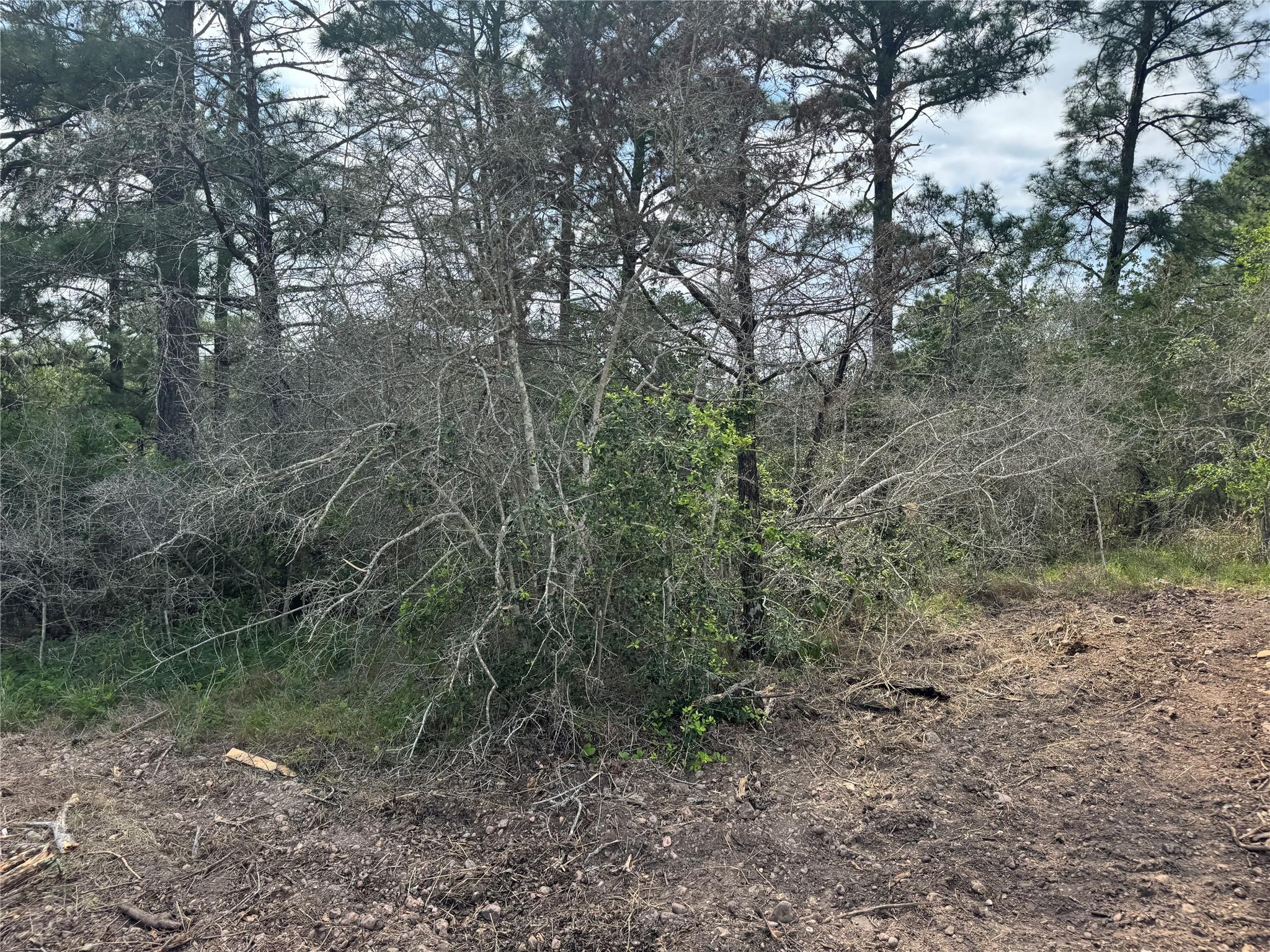 Lots 1263, 1264, 1265 Hanauma DR