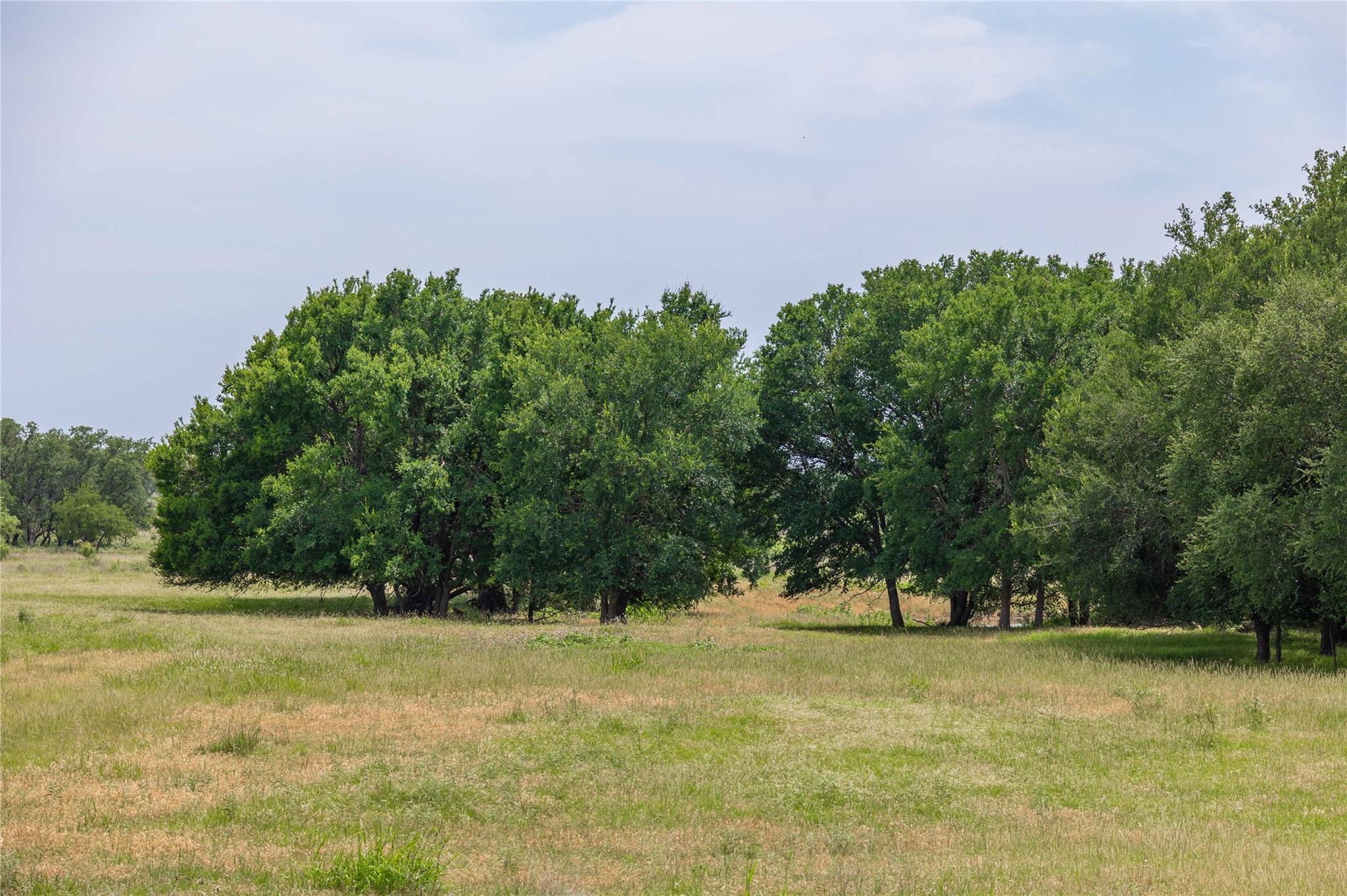 1183 W Highway 84 W