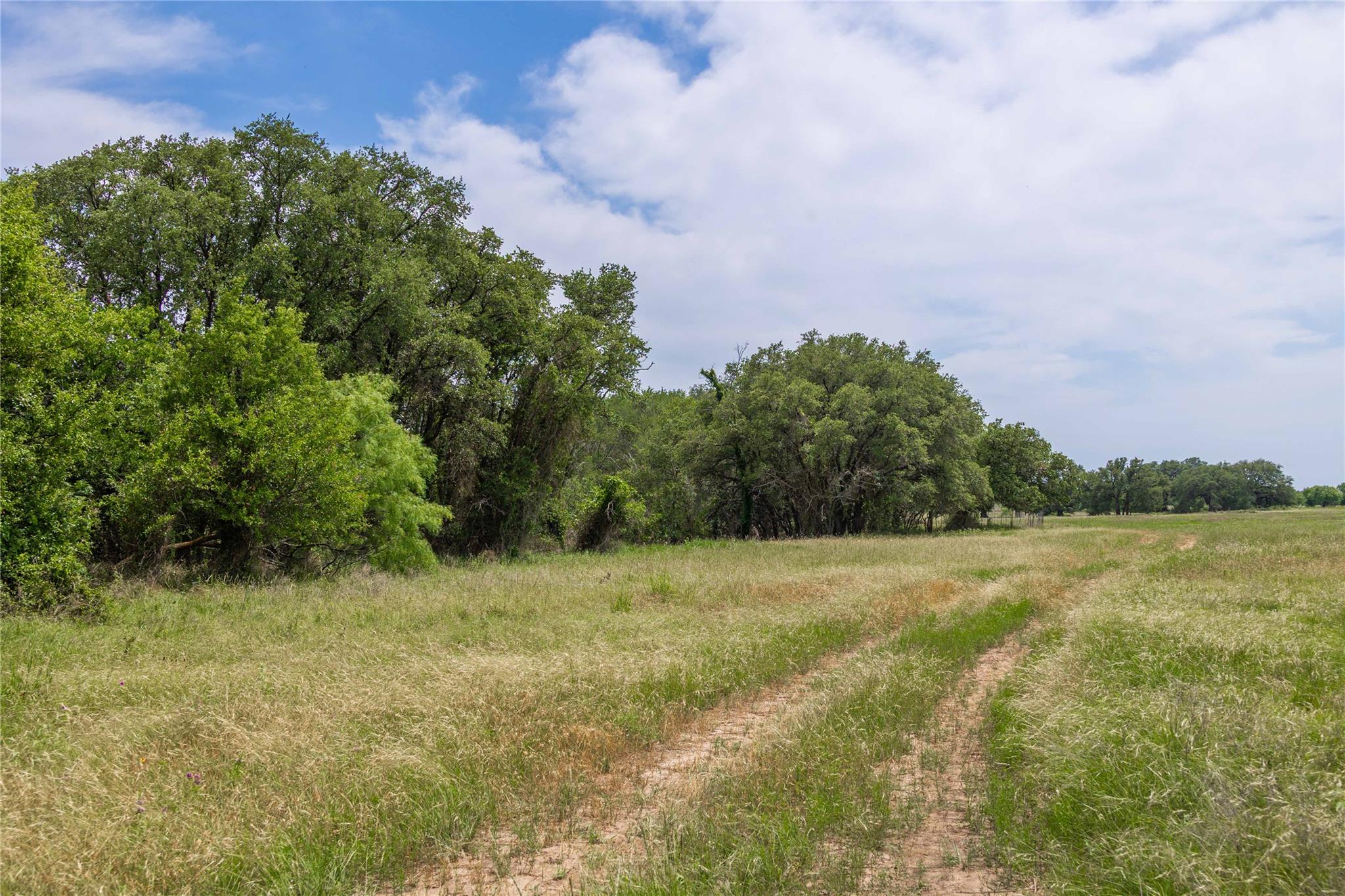 1183 W Highway 84 W