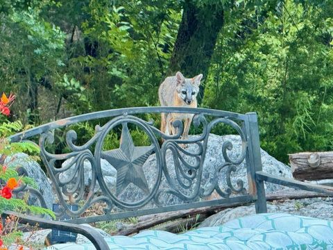 Tiny photo for 306 Tavish TRL, Austin, TX 78738 (MLS # 4329521)