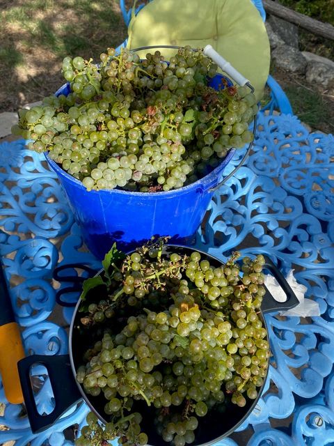 Tiny photo for 306 Tavish TRL, Austin, TX 78738 (MLS # 4329521)