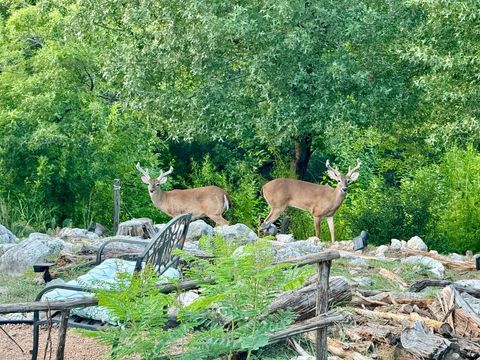 Tiny photo for 306 Tavish TRL, Austin, TX 78738 (MLS # 4329521)