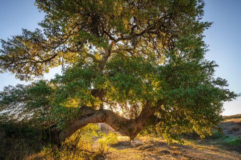 Photo of 000 Ranch Road 12, Dripping Springs, TX 78620 (MLS # 7563301)