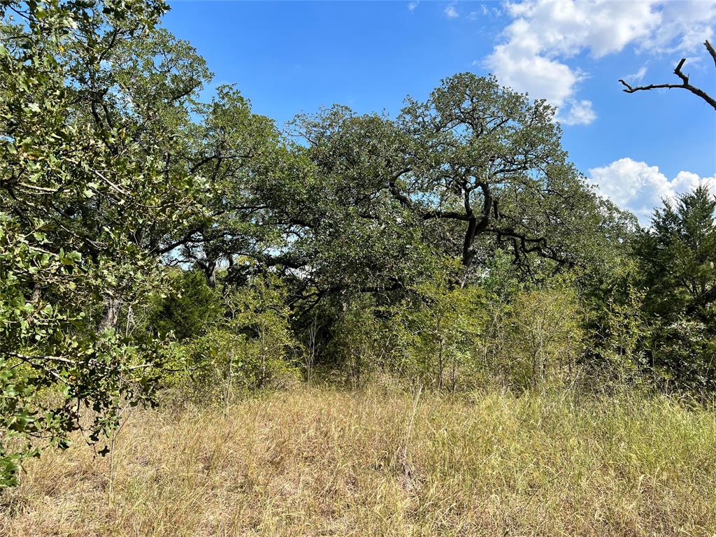 none Hwy 21 N East Of Fm 1209 Highway